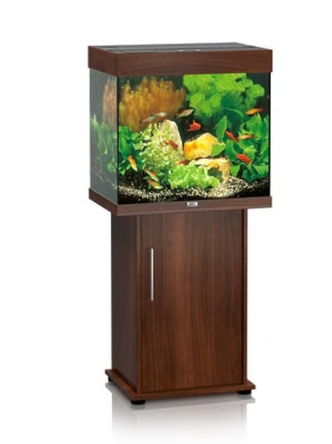 還有哪些世界頂級魚缸品牌，世界頂級水生生物健康品牌