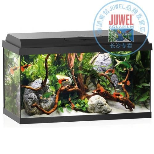 還有哪些世界頂級魚缸品牌，世界頂級水生生物健康品牌