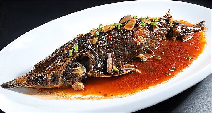 人工養(yǎng)殖龍魚有哪些常見的藥物殘留？，人工養(yǎng)殖人工養(yǎng)殖龍魚常見的藥物殘留