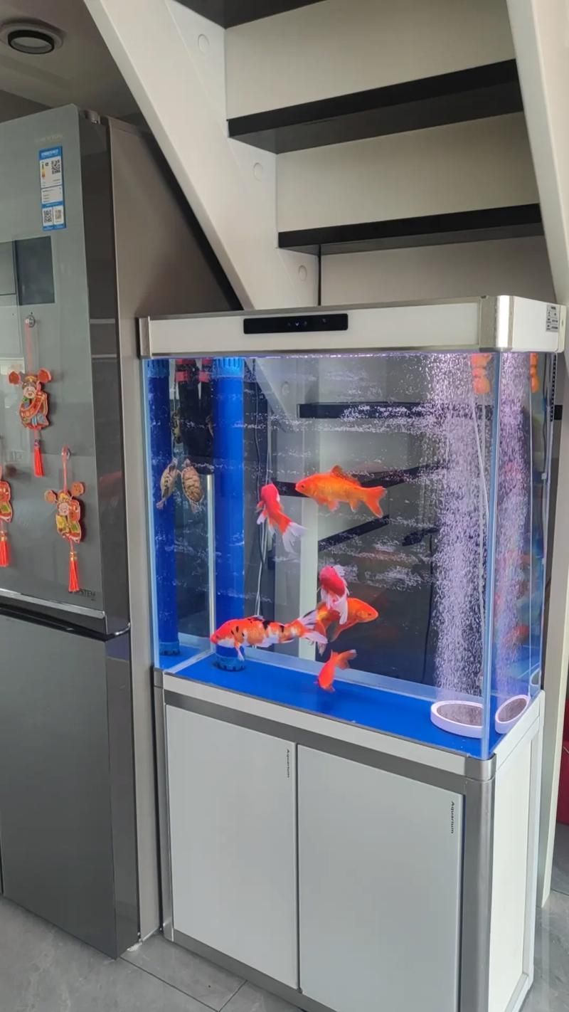 給我推薦一些適合養大錦鯉的魚缸，養大錦鯉的魚缸選擇