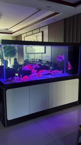 給我推薦一些適合養大錦鯉的魚缸，養大錦鯉的魚缸選擇