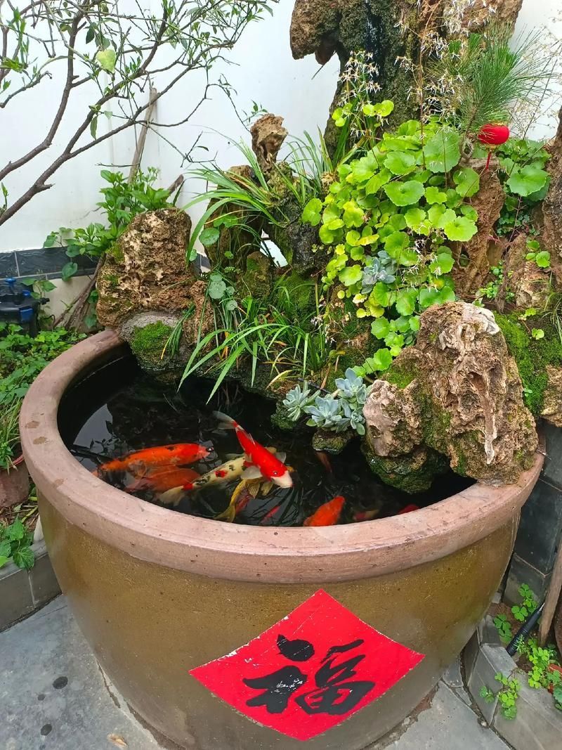 給我推薦一些適合養大錦鯉的魚缸，養大錦鯉的魚缸選擇