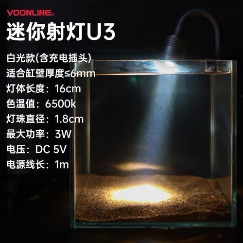 60厘米龍魚魚缸需要哪些設備，60厘米龍魚魚缸加熱棒