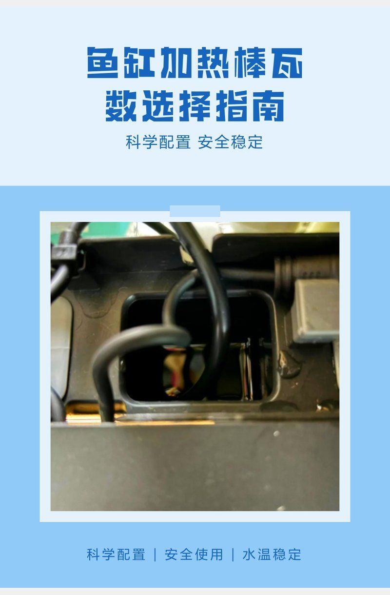 60厘米龍魚魚缸需要哪些設備，60厘米龍魚魚缸加熱棒