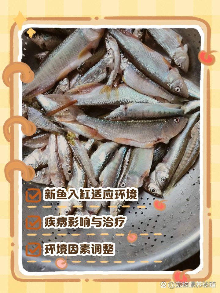 有哪些疾病會導致魚趴缸