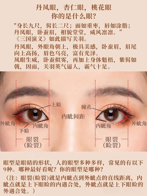 如何區(qū)分外蒙眼和內(nèi)蒙眼，“內(nèi)蒙眼”并非標(biāo)準(zhǔn)醫(yī)學(xué)術(shù)語