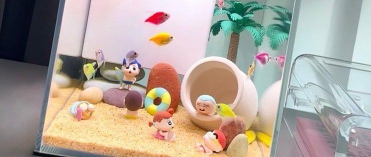 龍魚魚缸材質選擇建議