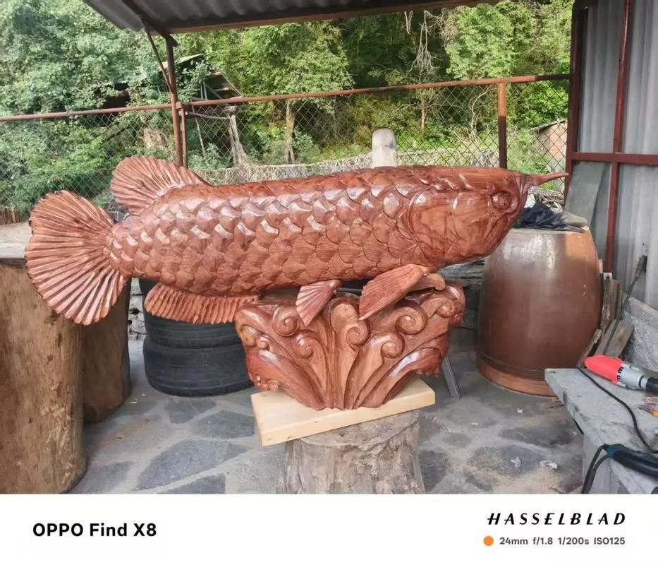 金龍魚木雕的價格范圍是多少，金龍魚木雕價格因尺寸、工藝復雜度、材質和雕刻風格而異