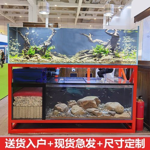 龍魚缸最佳搭配是什么品牌？，龍魚缸品牌有哪些？