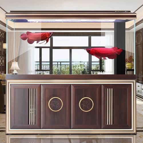 龍魚缸最佳搭配是什么品牌？，龍魚缸品牌有哪些？