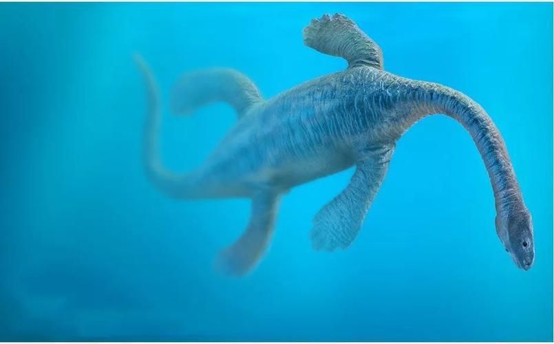 能否提供貴州龍魚的圖片，貴州龍魚與貴州魚龍有什么區(qū)別