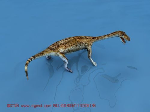 能否提供貴州龍魚的圖片，貴州龍魚與貴州魚龍有什么區(qū)別