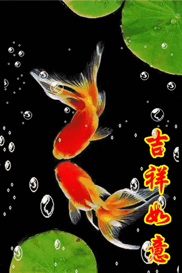 有沒有動態紅龍魚壁紙推薦，動態紅龍魚壁紙推薦