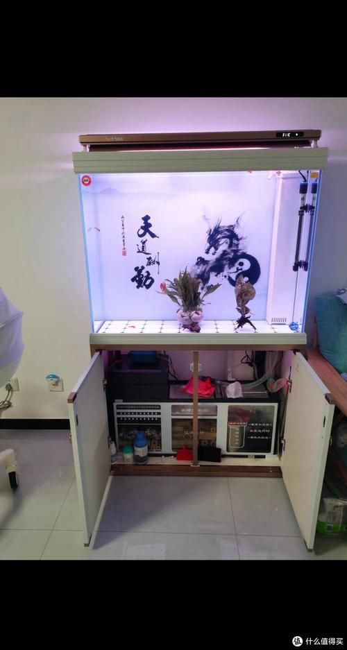 十大龍魚魚缸品牌中哪個性價比最高？，十大龍魚魚缸品牌中性價比最高的龍魚缸品牌森森1.5米以上型號對比表