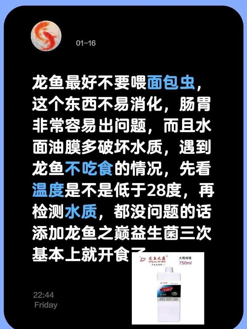 龍魚喂食有哪些禁忌食物，龍魚喂食有哪些禁忌食物，