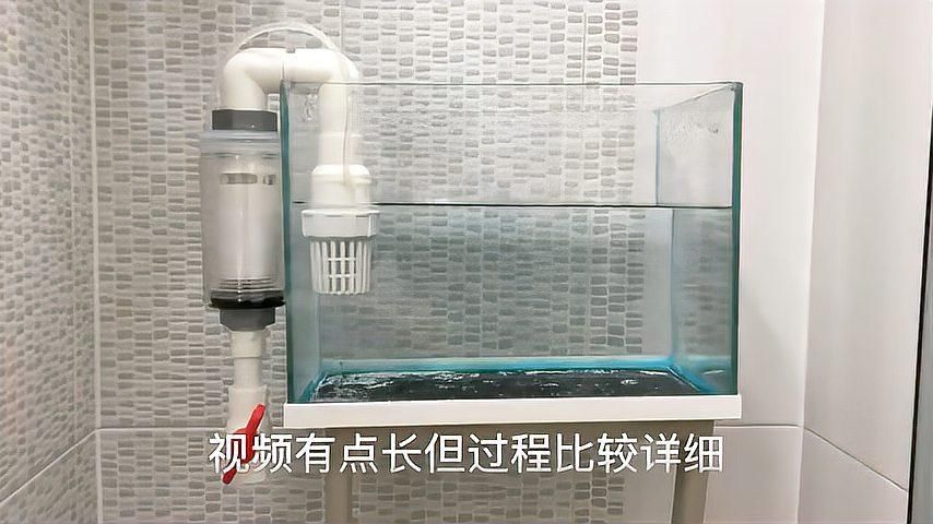 如何降低依蘭龍魚的飼養(yǎng)成本，如何降低依蘭龍魚飼養(yǎng)成本