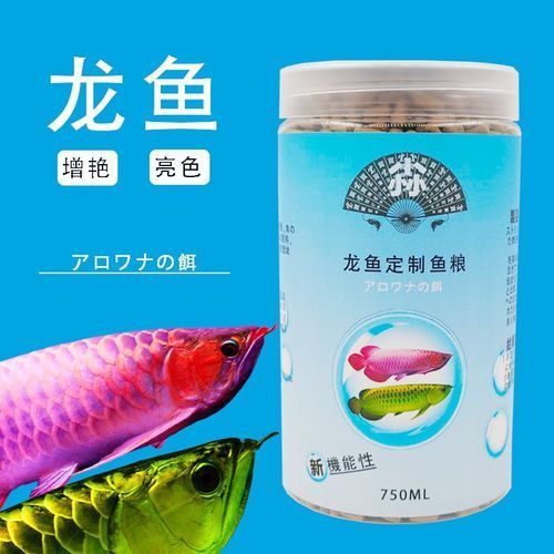 如何降低依蘭龍魚的飼養(yǎng)成本，如何降低依蘭龍魚飼養(yǎng)成本