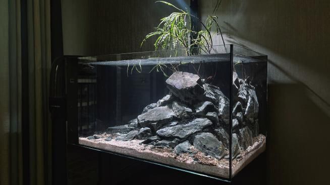 60×30×30cm的魚缸價格是多少，60×30×30cm的魚缸價格可能在100元到500元人民幣之間