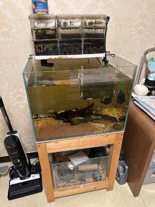 60×30×30cm的魚缸價格是多少，60×30×30cm的魚缸價格可能在100元到500元人民幣之間