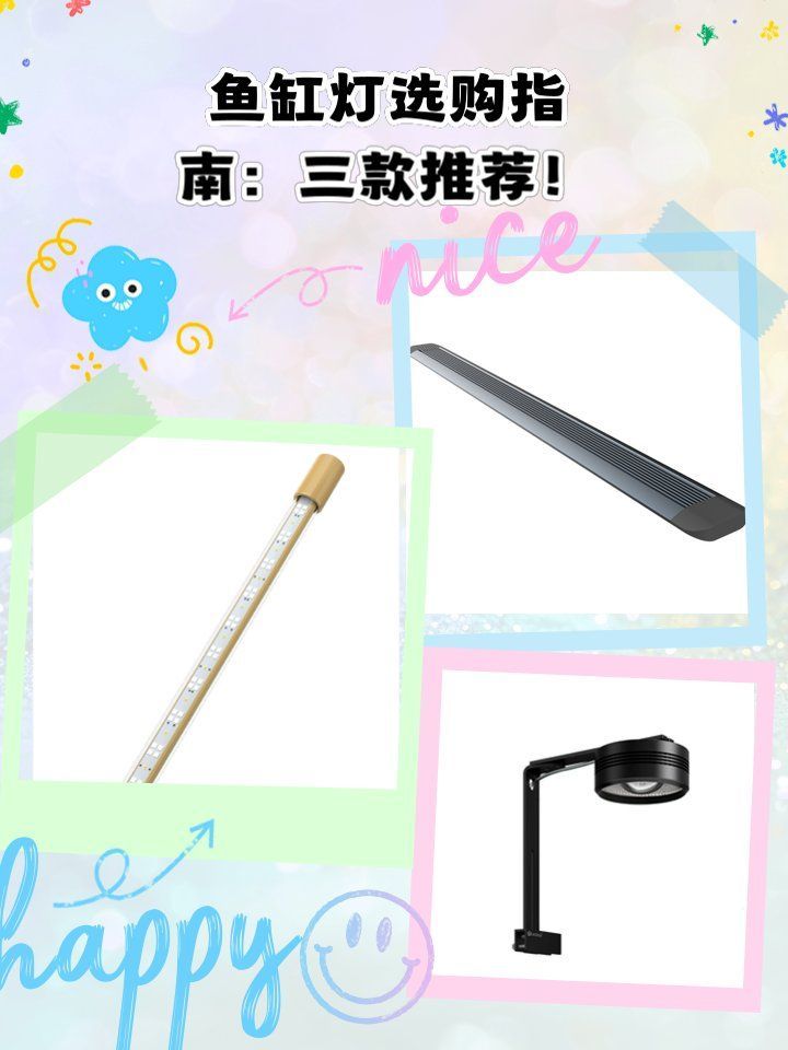 龍魚燈日光燈的價格范圍，龍魚燈日光燈價格