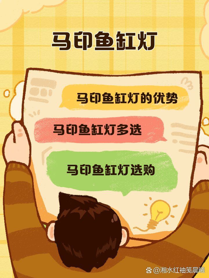 龍魚燈日光燈的價格范圍，龍魚燈日光燈價格