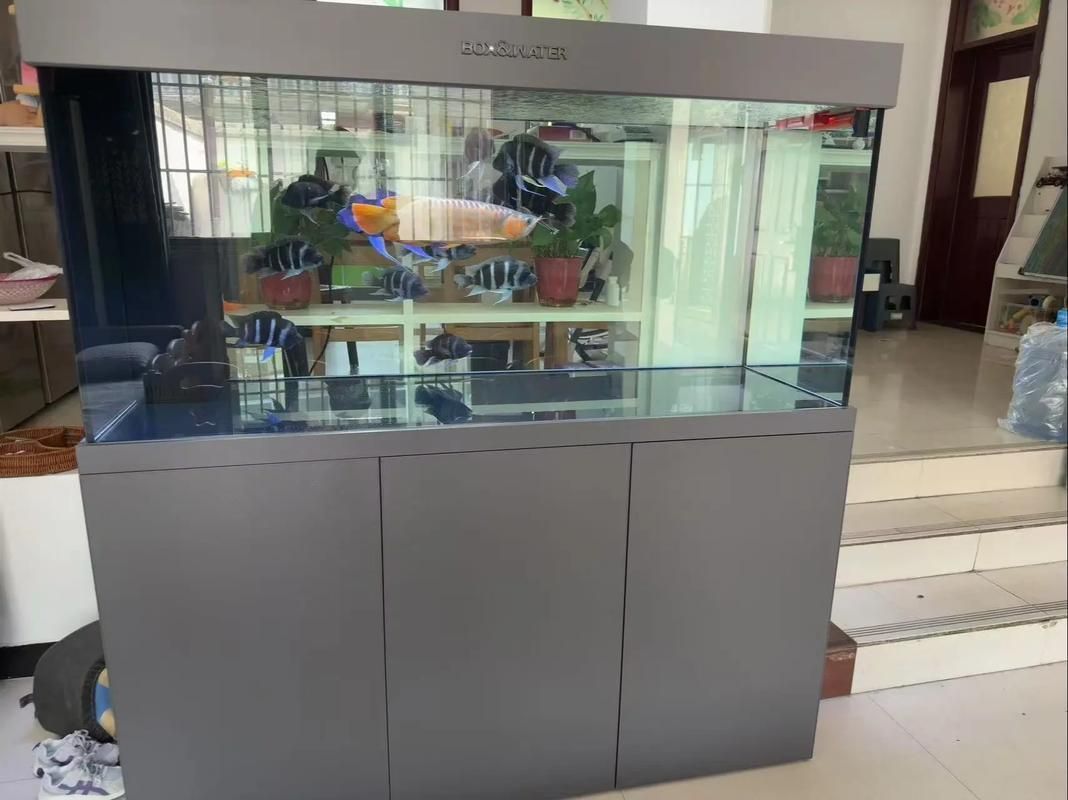 博特水族的龍魚缸有哪些型號可選？，博特水族的龍魚缸型號對比表博特水族龍魚缸型號對比表