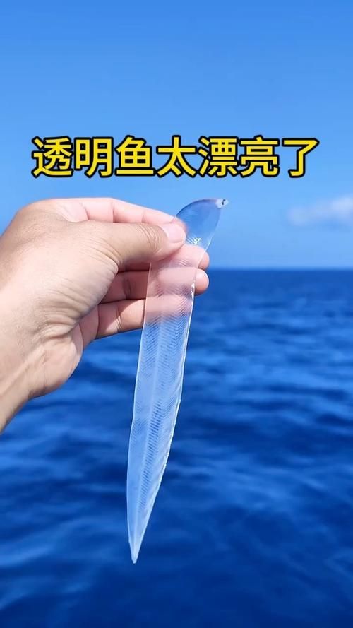 如何辨別真假忘不了魚？