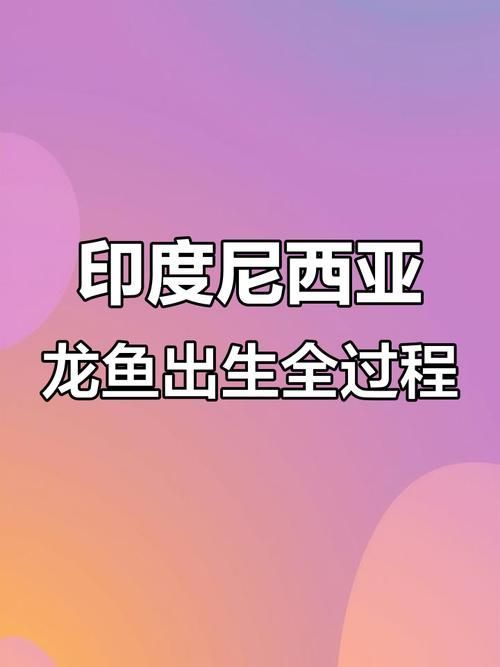 提供紅龍魚成長過程的圖片，紅龍魚發色停滯期怎么辦