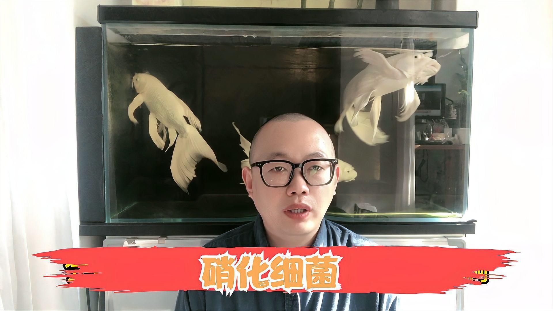 有哪些方法可以加速硝化系統的建立，如何加速硝化系統建立