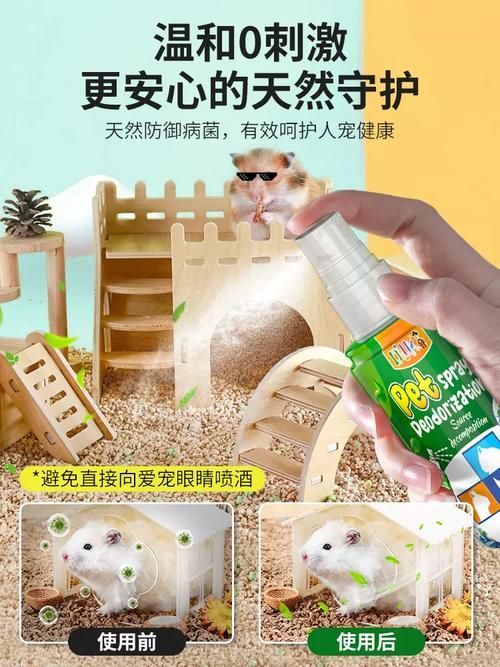 如何預(yù)防龍貓細(xì)菌傳播，如何科學(xué)預(yù)防龍貓細(xì)菌傳播