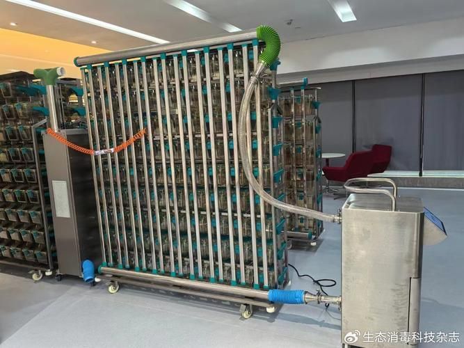 如何預防龍貓細菌傳播，如何科學預防龍貓細菌傳播