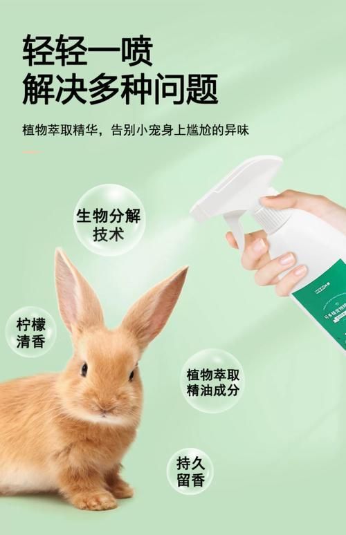 如何預(yù)防龍貓細(xì)菌傳播，如何科學(xué)預(yù)防龍貓細(xì)菌傳播