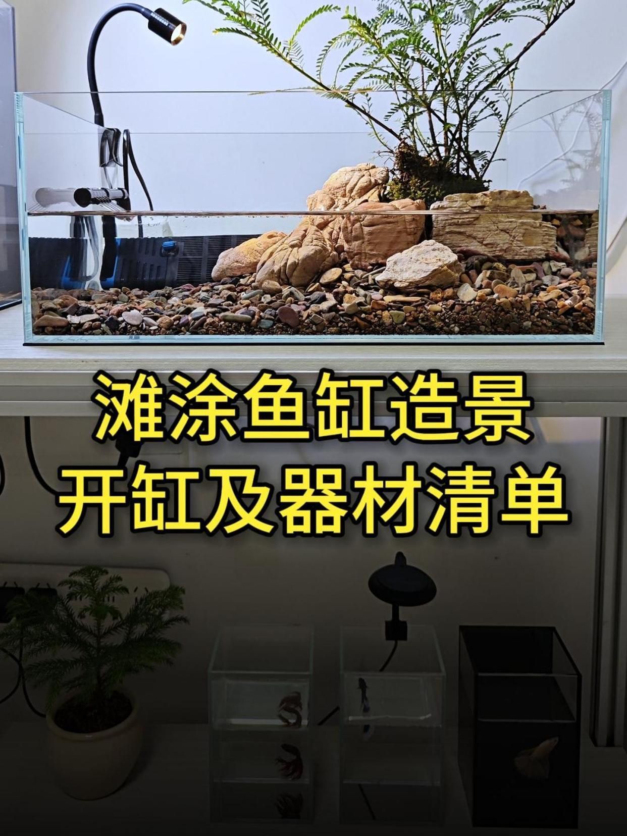 祥龍魚場的實景缸如何布置？，祥龍魚場的實景缸布置