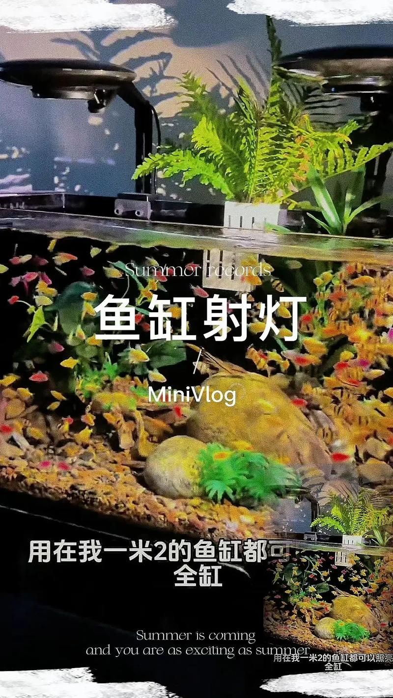 魚缸LED燈的價格范圍，魚缸led燈價格范圍