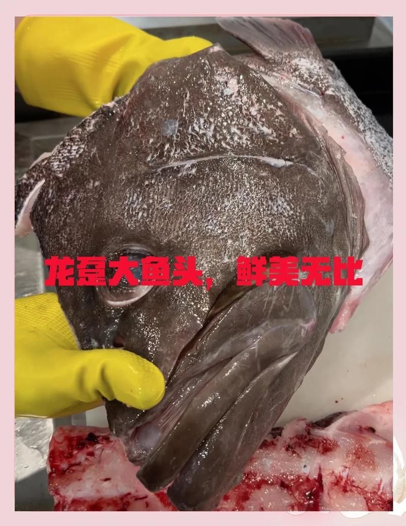 龍頭魚有哪些營養(yǎng)價值，龍頭魚有哪些營養(yǎng)價值龍頭魚有哪些營養(yǎng)價值