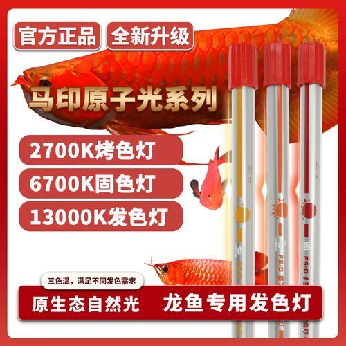 祥龍魚場提供哪些品牌的龍魚燈？，祥龍魚場提供哪些品牌的龍魚燈品牌的龍魚燈品牌多樣