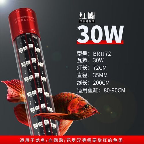祥龍魚場提供哪些品牌的龍魚燈？，祥龍魚場提供哪些品牌的龍魚燈品牌的龍魚燈品牌多樣