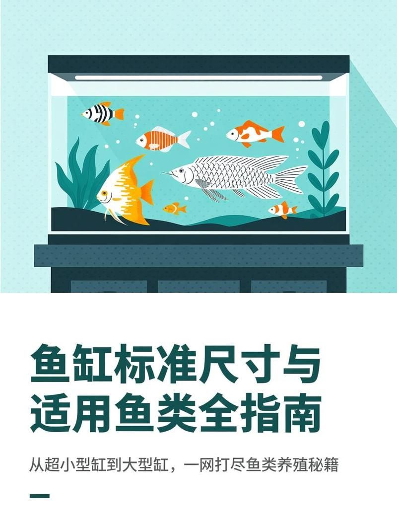 如何判斷魚缸尺寸是否合適？，判斷魚缸尺寸是否合適，|新手必看選購指南