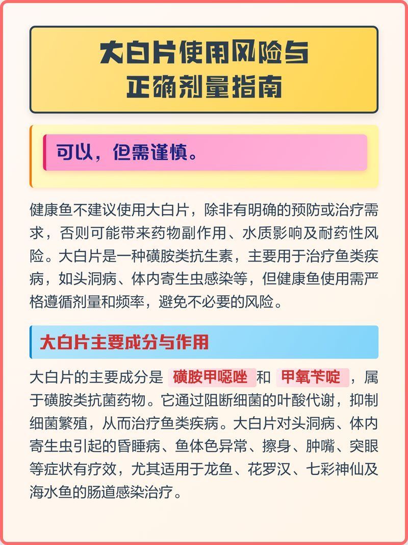 詳解紅金龍魚白點病治療方法，紅金龍魚白點病治療方案