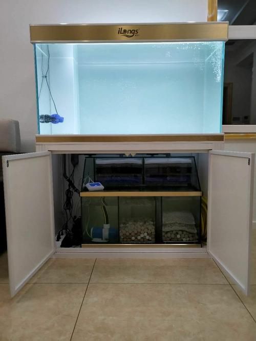 愛龍仕魚缸哪個型號最受歡迎，愛龍仕魚缸哪個型號最受歡迎愛龍仕魚缸哪個型號最受歡迎