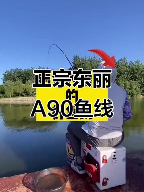 東麗龍魚線有哪些型號(hào)