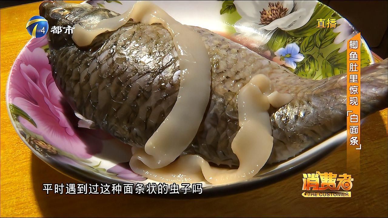 魚有內寄的三個特征，魚有內寄有什么表現？