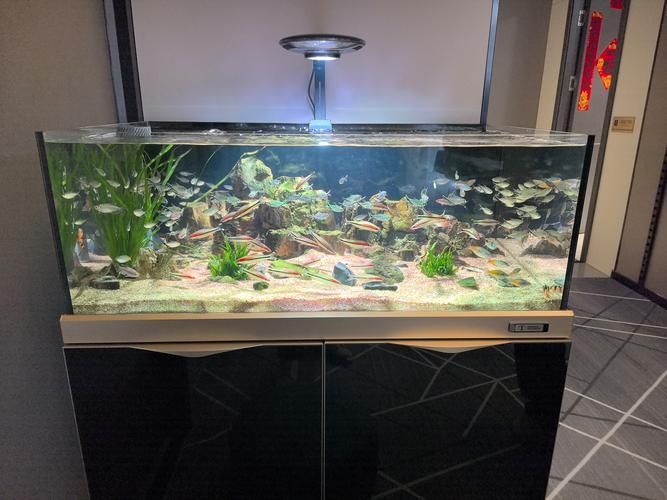 馬印魚缸有哪些系列？，馬豐富多樣系列魚缸