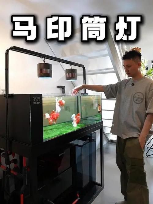 馬印魚缸有哪些系列？，馬豐富多樣系列魚缸