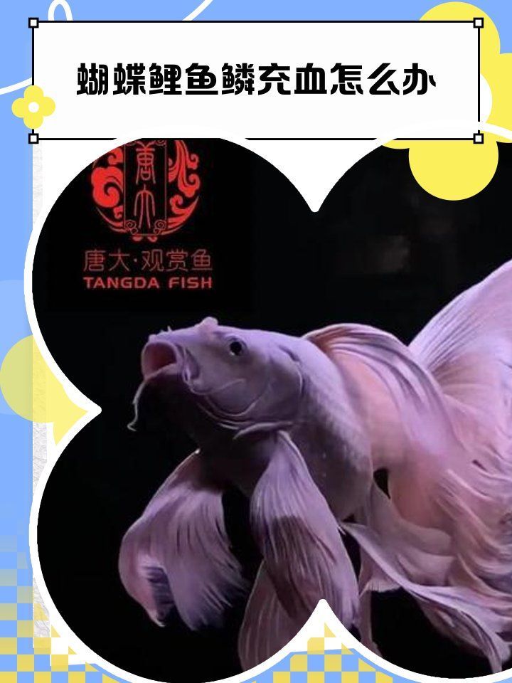 魚鱗充血如何治療最有效，“魚鱗充血如何治療最有效調(diào)用工具百度健康-去問診