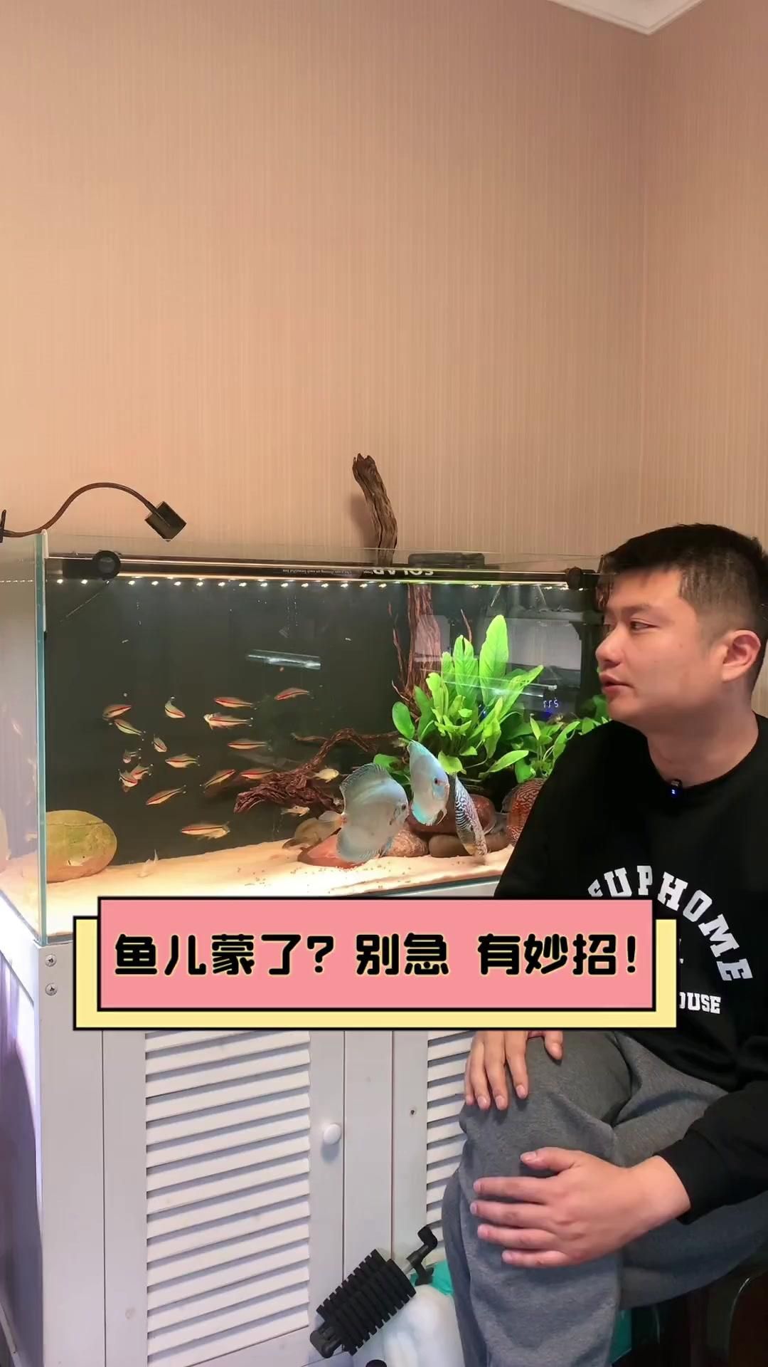 如何治療魚蒙眼病，養魚筆記第3季104集