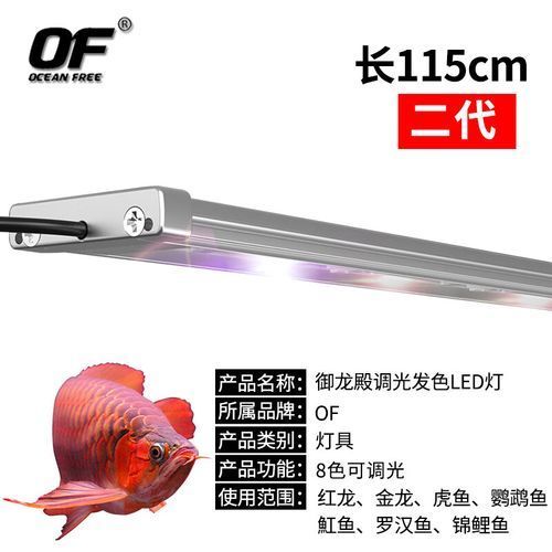仟湖專用龍魚燈的用戶評價如何？，仟湖專用龍魚燈用戶評價如何