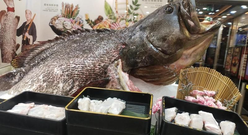 龍躉魚有哪些營養價值，龍躉魚是一種營養價值極高的海洋魚類