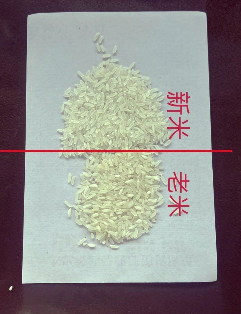如何判斷大米的新鮮度？，判斷大米新鮮度的方法包括1000字→t1354-