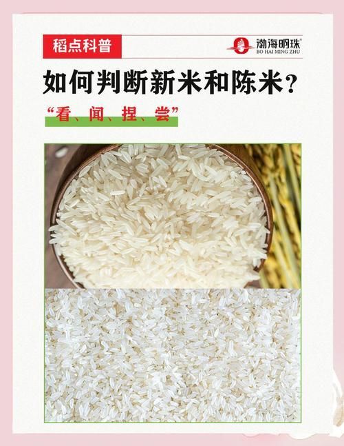如何判斷大米的新鮮度？，判斷大米新鮮度的方法包括1000字→t1354-
